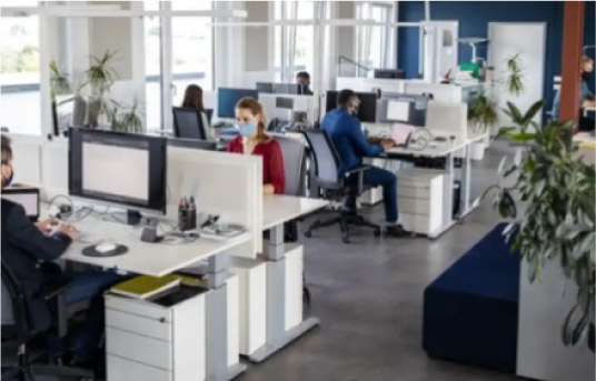 Laboratorio Minillas